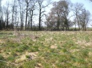 Immobilier Marchais En Brie